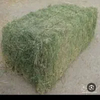 دوعددپرس یونجه