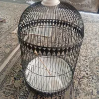قفس طوطی برزیلی