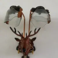 روشنایی کاملا سالم