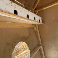 قفس لازم داری بیا ببر