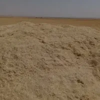 کاه گل گندم سرخوشه بشرط کردستان|حیوانات مزرعه|زارچ, |دیوار