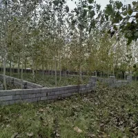 سه قطعه زمین باغی داخل طرح در رودبنه|فروش زمین و ملک کلنگی|لاهیجان, لیل|دیوار