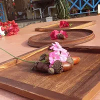 انواع سینی های چوبی