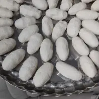 کشک تازه و محلی گوسفندی