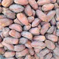 فروش ریزه خاصه و حلاب