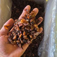 خشکبار انواع کشمش|عمدهفروشی|خلیل آباد, |دیوار