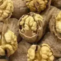 مغز گردو سفیدو پرچرب