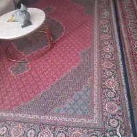 فرش۱۲متری|فرش|کرمانشاه, |دیوار