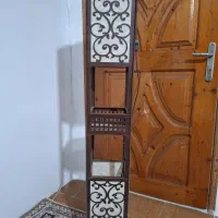 آباژور ایستاده سالم