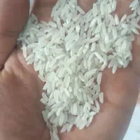 برنج دانه کوتاه پاکستانی|خوردنی و آشامیدنی|تهران, جوادیه|دیوار