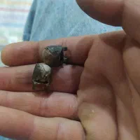 یک جفت مهره ایلامی که سمت زیگوارت چغازنبیل