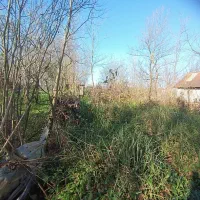 فروش-زمین-در-نخجیر-کلایه