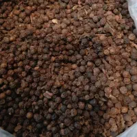 تولیدو پخش ادویه و چاشنی جات|عمدهفروشی|تربتحیدریه, کاشانی|دیوار