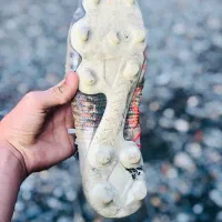 کفش استوک پوما سایز ۴۴|کیف، کفش، کمربند|آق قلا, |دیوار