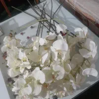 گل مصنوعی ارکیده|گل مصنوعی|اصفهان, جلالیه|دیوار