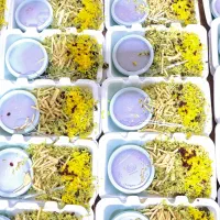 غذا برای شرکت ها و نذری و هیئتی|خوردنی و آشامیدنی|تهران, میدان ولیعصر|دیوار
