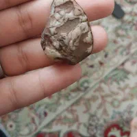 زوعه پاکستانی