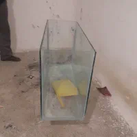 آکواریوم متوسط