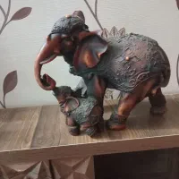 تعدادی دکوری. سالم و. زیبا