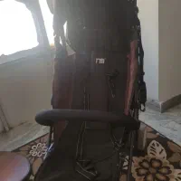 کالسکه مدل عصایی سالم