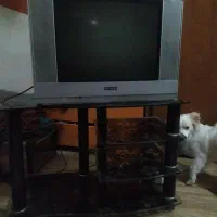 فروش تلویزیون و دیجیتال|تلویزیون و پروژکتور|مسجد سلیمان, |دیوار