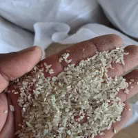 نیم دانه فجر سوزنی|خوردنی و آشامیدنی|آق قلا, |دیوار