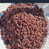 کشمش افتابی تمیز شده و درشت