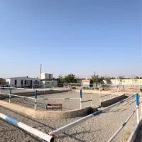 پانسیون اسب در  ملارد