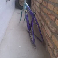 تنه دوچرخه ۲۰