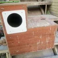 تعدادی لونه کاسکویی و پرندگان بزرگ جثه