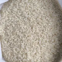 برنج و نیم دانه طارم بوجاری