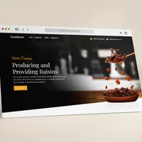 طراحی سایت حرفه ای + خدمات دیجیتال مارکتینگ