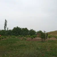 یک-زمین-کشاورزی-وه-باغ-واقع-در-ابادی-خان-اباد