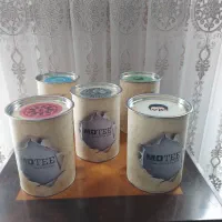 قوطی خالی