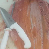 همکار مرغ و ماهی