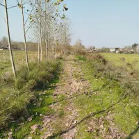 زمین شالیزار مکانیزه ۴۶۰۰متری در حوالی لنگرود