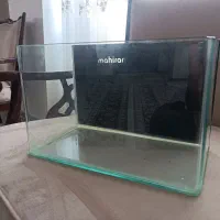 آکواریوم ، گوی ، روروک همستر