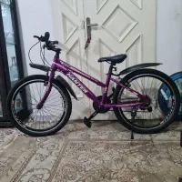 دوچرخه زیبا