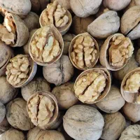 گردو با پوست کاغذی درجه یک مغز گردو مغز فسنجونی