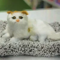 گربه های موزیکال|اسباب‌بازی بچه|یزد, |دیوار