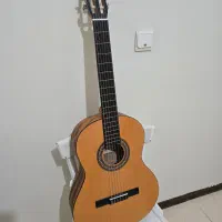 گیتار پارسی مبتدی