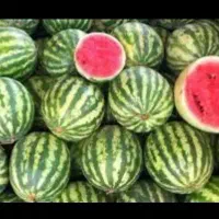 میوه فروشی نواب
