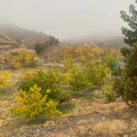 طرقبه مشارکت واجاره باغ دارای و‌دامداری