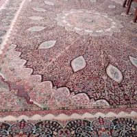 دوعدد فرش|فرش|نیشابور, شهید بهشتی|دیوار