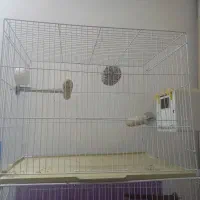 لوازم قفس وپرنده|لوازم جانبی حیوانات|بیرجند, |دیوار