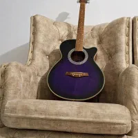 گیتار آکوستیک SWIFTHORSE