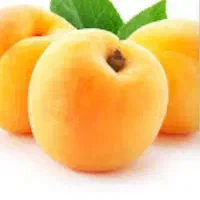 زردالو خریدارم