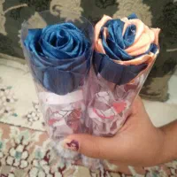 گل ربانی|گل مصنوعی|نیشابور, باغ نو|دیوار