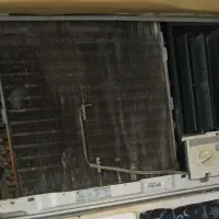 شادگان‌عباس آباد‌