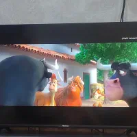 تلویزیون هایسنس A4 سایز ۴۳ اینچ